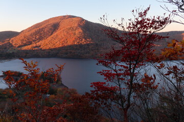 日本百名山赤城山・地蔵岳の朝焼けとモミジ (秋/紅葉)(モルゲンロート)