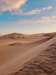 Fototapeta na wymiar desert under the hot sun