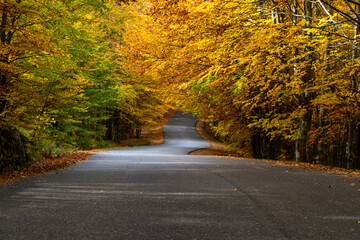 Autumn on the road in the Carpathian Mountains in Romania, Eastern Europe