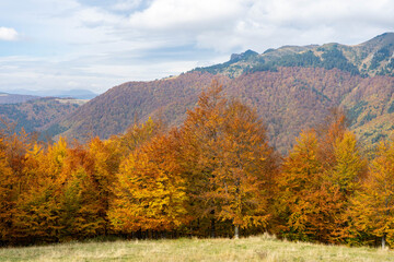 Naklejka premium Red Mountain scenery in Cheia, Prahova, Romania in the Carpathian Ciucas Mountains