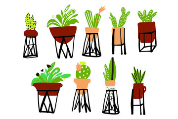 Cactus in flower pots. Flat illustration style