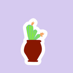 Cactus in flower pots. Flat illustration style