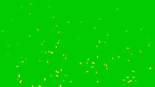 Animated golden confetti falling and spinning. Vector illustration isolated on green background. Looped video.