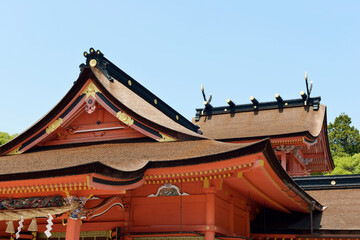 Fototapeta premium 富士山本宮浅間大社