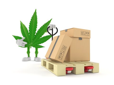 Cannabis character with hand pallet truck with cardboard boxes