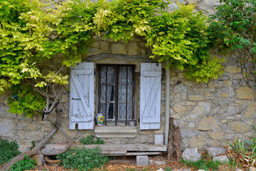 Fototapeta na wymiar Vieille maisaon en pierres à la mèche de vigne vierge, Vaucluse en Provence-Alpes-Côte-d'Azur, France