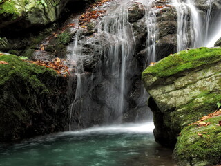 Naklejka premium Fascinated by the beautiful waterfall (Japanese waterfall) 埼玉県・秩父不動滝 (大除沢不動滝)の滝壺