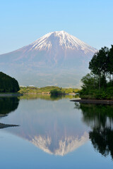 富士山と田貫湖