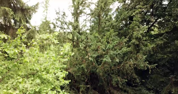 Lost place, Opel Villa by drone at a cloudy day.