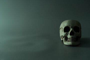 Human dead skull head. Halloween party background