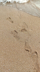 Fototapeta na wymiar footprints on the sand by the sea
