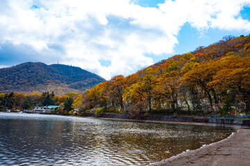 Red leaves on Akagi mountain in Gunma prefecture Japan