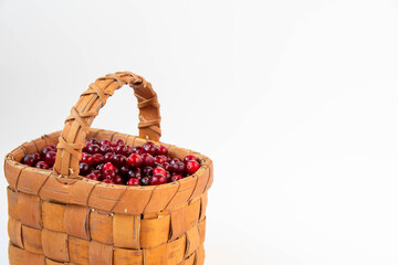 Fototapeta na wymiar Red cranberries in a wicker basket on a white background with copy space.