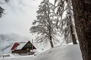 Trekking after a snowfall in the Julian Alps, Friuli-Venezia Giulia, Italy