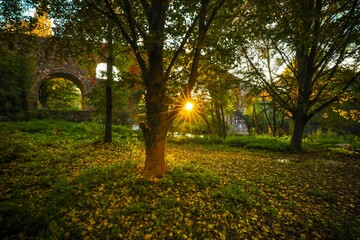 Puesta de sol entre el arco de un puente gótico en un bosque otoñal