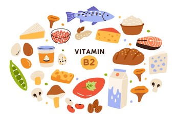 Collection of vitamin B2 sources. Food containing riboflavin. Cottage cheese, mushrooms, fish, dairy products, nuts. Dietetic products, organic nutrition. Flat vector cartoon illustration