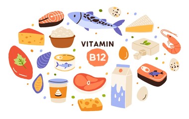 Collection of vitamin B12 food. Cottage cheese, eggs, sea food, fish, meat, dairy product. Dietetic products, organic natural nutrition. Flat vector cartoon illustration isolated on white background