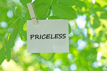 PRICELESS