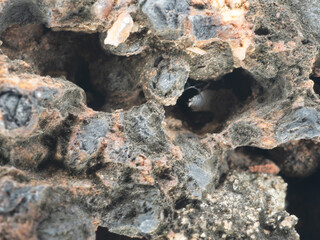 Gravel and stone combined with cement