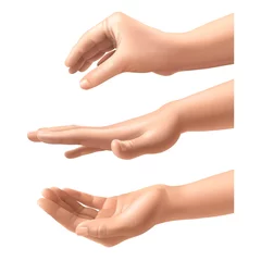 Fotobehang Realistic hands. Woman various gestures hand holding, extrusion and pressure fingers position, isolated human arm collection, interactive female body closeup 3d parts vector set © YummyBuum