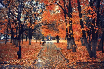 Papier Peint photo Brique paysage de saison d& 39 automne dans le parc, vue sur fond d& 39 allée d& 39 arbres jaunes