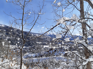 blue cold sky in winter with snow on mountain trees