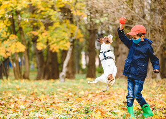 Boy in protective face mask teases dog with toy playing in distances from other people