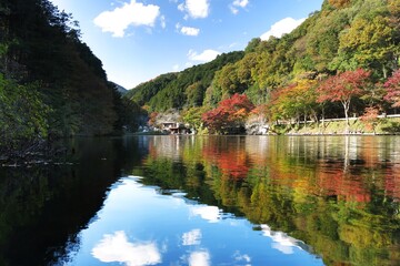秋色に染まった鎌北湖 (埼玉県毛呂町)(秋/紅葉)