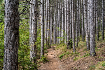 Botkin trail - a beautiful tourist walking route in the Republic of Crimea, Russia