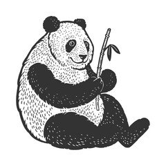 Panda bear sketch raster illustration
