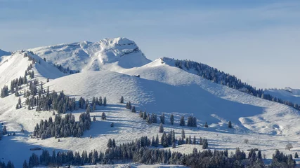 Fotobehang Paysage hivernal dans les Alpes suisses © patrick
