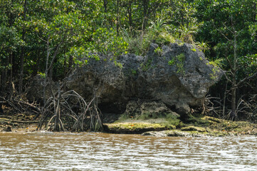 猫岩と呼ばれる岩礁