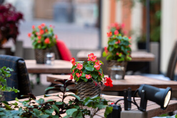 Fototapeta na wymiar empty chairs and tables decorated with flowers at a street cafe