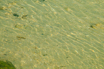 浜辺の波と煌めく光