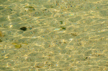 浜辺の波と煌めく光