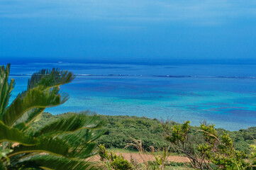Fototapeta na wymiar 小高い丘からの青い海の眺め
