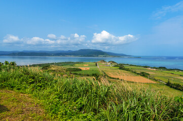 小高い丘からの西表島の眺め