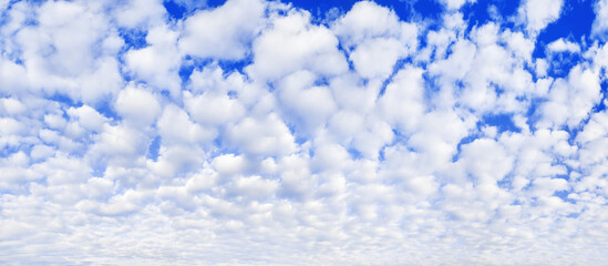 White cumulus clouds on blue sky background, beautiful cirrus cloudscape wide panoramic view, cloudy skies panorama, fluffy cloud texture, sunny heaven landscape, cloudiness weather backdrop, overcast - obrazy, fototapety, plakaty
