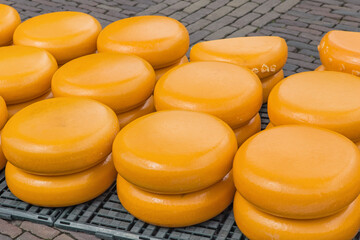 Cheese at traditional cheese market - Alkmaar Netherlands