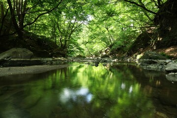渓流と緑とリフレクション