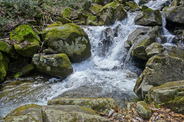 早春の雪解け水が谷川に