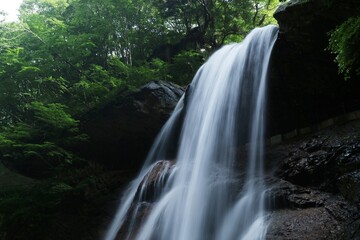 長野県・雷滝 (日本の滝)