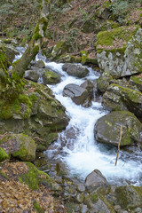 早春の雪解け水が谷川に