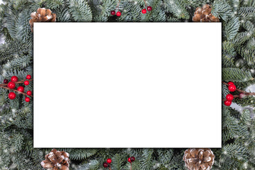Christmas card over fir tree branches