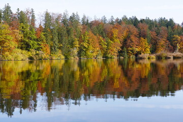 Fototapeta premium Autumnal Reflections in the Lake. High quality photo