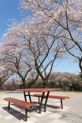 Fototapeta premium 保土ヶ谷公園（神奈川県横浜市）