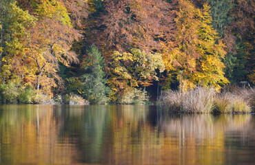 Fototapeta premium Autumnal Reflections in the Lake. High quality photo