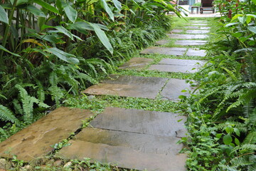 path in the garden