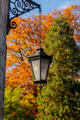 Wall lantern and virginia creeper on the street in autumn season