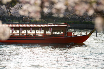 大川の桜と屋形船